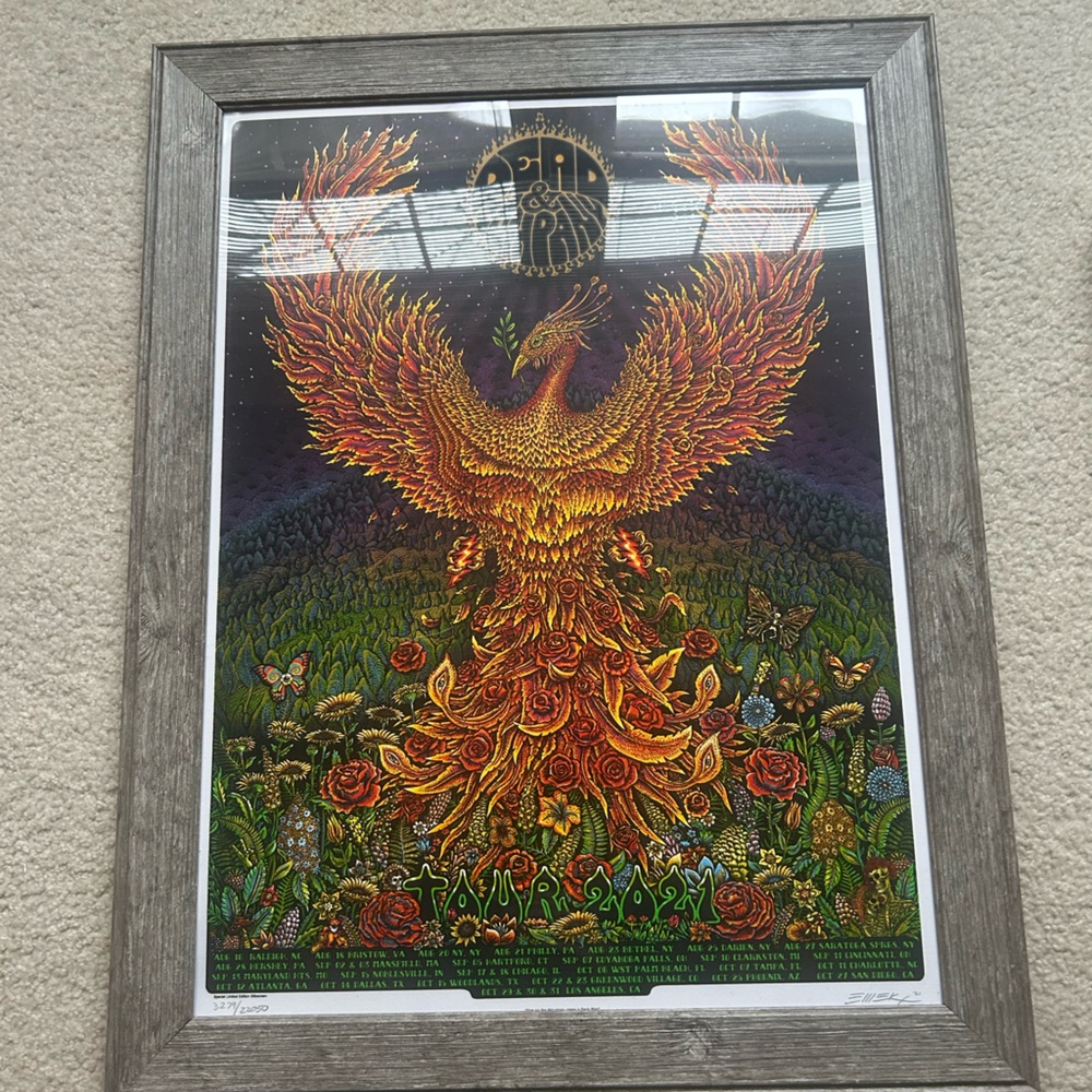 Phoenix  2021 Tour VIP Poster